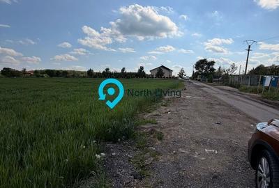 Teren Construcții intravilan de 1127 mp, în Snagov - 5