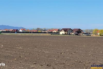 Spațiu comercial, în Stupini - 1