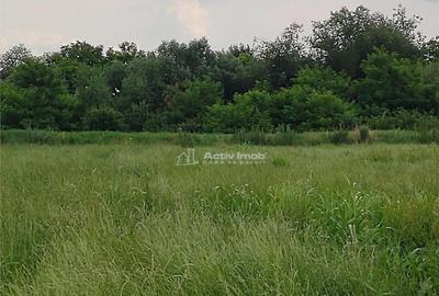 Gataia Teren Drept 1414 Mp Lot de Casa, 7 Euro Mp Gataia Teren Drept 1414 Mp Lot de Casa, 7 Euro Mp - 3