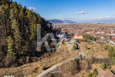 Spațiu comercial, în Poiana Angelescu - 1