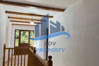 Pensiune/ Vila Valea Avrigului Pensiune/ Vila Valea Avrigului - 15