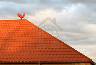 Conacul CERUL VLASIEI cu Grădină 1077 m2 langa padure Conacul CERUL VLASIEI cu Grădină 1077 m2 langa padure - 10