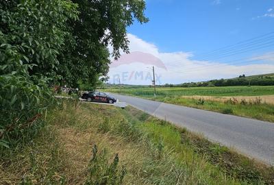 Casa  de vanzare cu teren 9200 mp, Padureni-Sendriceni, Botosani - 26