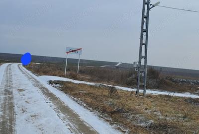 Teren de 5000 mp, în Dancu - 2