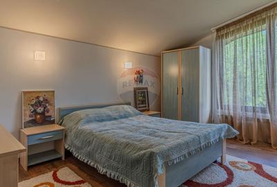 Casa de vacanta sau investitie turistica in Gresu - langa Lepsa - 30