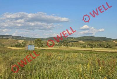 De vânzare teren extravilan loc. Sărămaș - 1