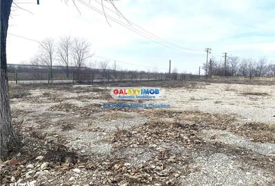 Teren de 46500 mp, în Ariceștii Rahtivani - 8