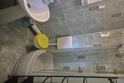 Apartament cu 2 camere semidecomandat, mobilat în Parcul Carol - 5
