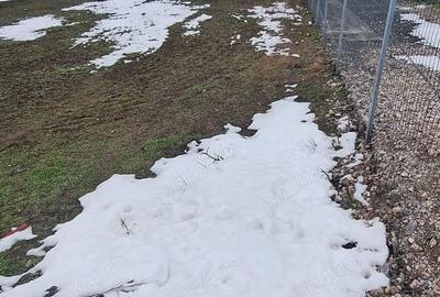 Teren de 600 mp, în Mineri - 2