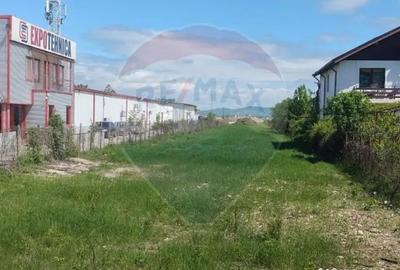 Teren de 4340 mp, în Albert - 1