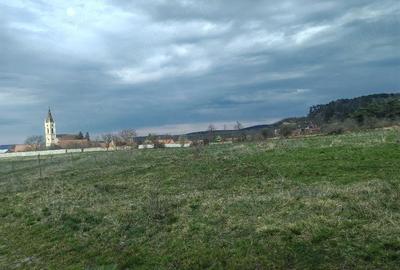 Teren de 2600 mp, în Apoldu de Sus - 2