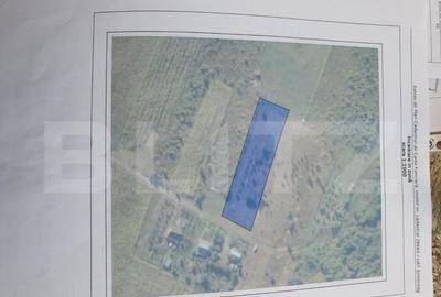 Teren, 21.5 Ari, zona Padurea Sigmirului - 1