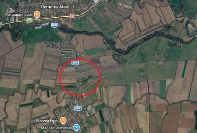 Teren Construcții intravilan de 750 mp, în Bucovăț (Remetea Mare) - 1