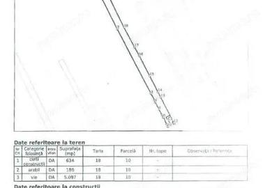 Casă cu 4 camere cu Teren 5917 Mp în Ivești - 9