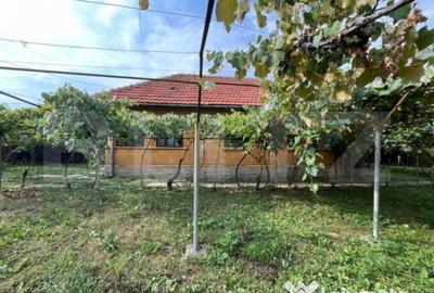 Casă cu 3 camere cu Teren 1173 Mp în Debarcader - 7