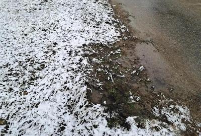 TEREN INTRAVILAN POLOVRAGI - 5