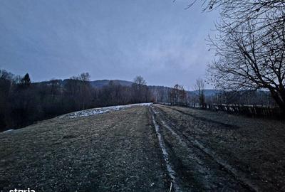Teren de 5000 mp, în Șinca - 1