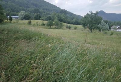 Teren Construcții extravilan de 2695 mp, în Exterior Est - 4