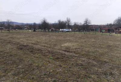 Teren de 3000 mp, în Vața de Jos - 8