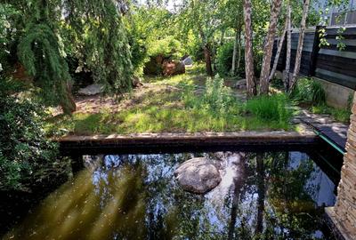 Casă individuală cu 3 camere cu Canalizare în Băneasa - 3
