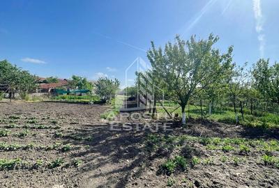 Casa individuala cu curte individuala si gradina - Zona Gai - 23