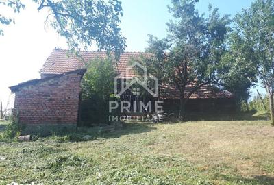 Casă cu 4 camere cu Teren 1708 Mp în Berghin - 7