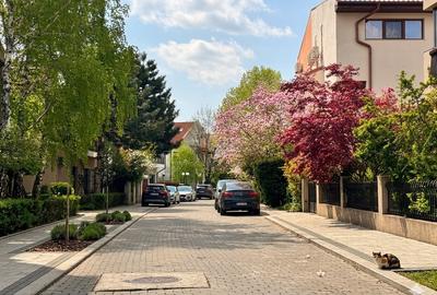 Duplex cu 5 camere cu Canalizare în Bucureștii Noi - 3