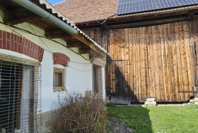 Casă cu 3 camere cu Teren 1300 Mp în Central - 4