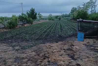 Teren de 2000 mp, în Istria - 2