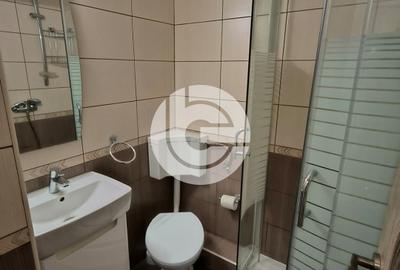 Apartament cu 4 camere decomandat, mobilat în Vasile Aaron - 15