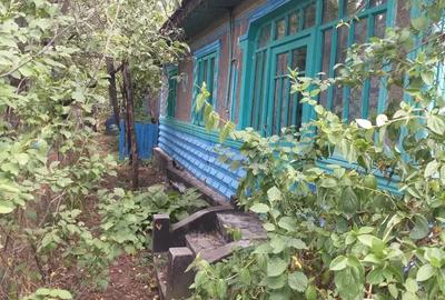 Casă cu 4 camere cu Teren 5000 Mp în Drăgănești - 7