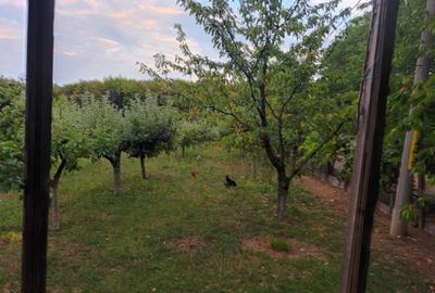 Casă individuală cu 4 camere cu Teren 10000 Mp în Central - 2