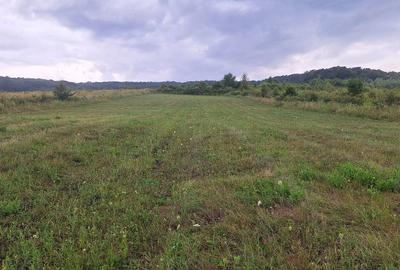 Teren de 1500 mp, în Corunca - 3