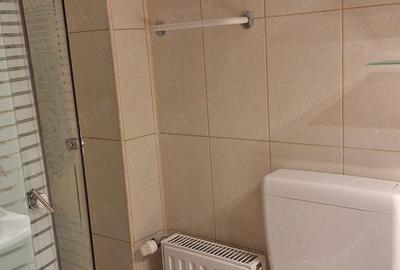 Inchiriez apartament 3 camere , ZONA TRAIAN ( MALUL MURESULUI ) - 9