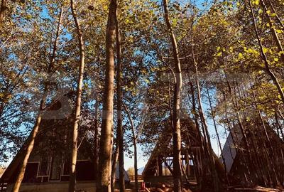 Casă cu 4 camere cu Teren 400 Mp în Bran - 4