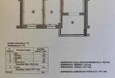 Apartament cu 2 camere decomandat în Pietroasa - 6