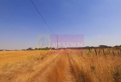 Teren pentru casa/case in Brane?ti pe strada Topora?i - 8