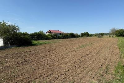 De vanzare 2 loturi de teren de 500mp in Ciorogarla, Str. Cartonari - 4
