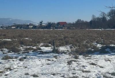 OPORTUNITATE pt Dezvoltatori de case zona Penitenciar ! - 3