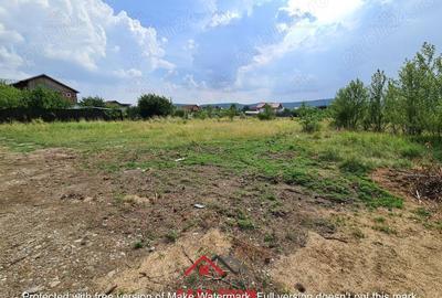 Casă cu Teren 3727 Mp în Bănești - 14