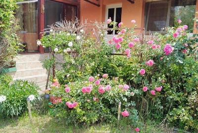 Casa 3 camere, bucatarie, baie Voivodeni - 7