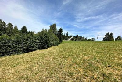 Vanzare teren Fundata - priveli?te panoramica - Drumul... - 2