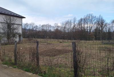 Teren Construcții intravilan de 650 mp, în Central - 2