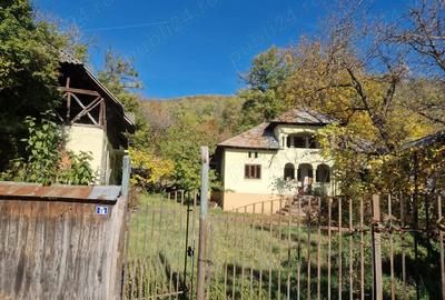 Casă cu 3 camere în Central - 1