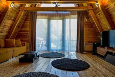 FILM! Ansamblu in circuit hotelier,5.700mp teren,Moieciu,constructie 2025 - 26