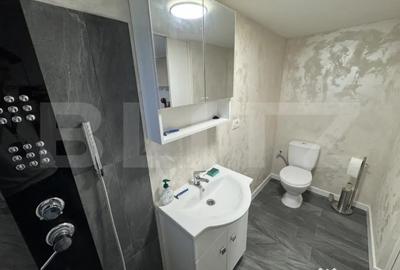 Apartament cu 2 camere semidecomandat, mobilat în George Enescu - 11