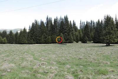 Teren de 50000 mp, în Pietroșița - 6