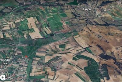 Teren de 1500 mp, în Cetariu - 4