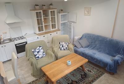 Închiriere ap. 1 cameră, sup. 40 mp. în Centru, zona Prefecturii - 4