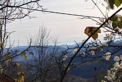 Teren de 4001 mp, în Bezdead